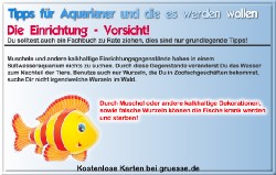grusskarte-diverses-aquarianer-q_010