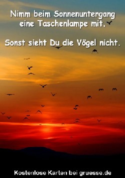 grusskarte-diverses-bloede-sprueche_016