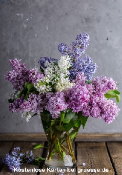 grusskarte-diverses-blumengruesse_004