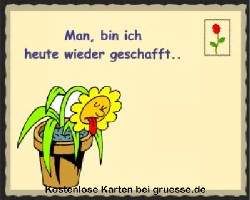 grusskarte-spass-q-gemischt_002