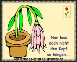 grusskarte-spass-q-gemischt_003