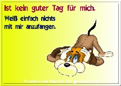 grusskarte-spass-q-gemischt_074