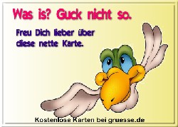 grusskarte-spass-q-gemischt_101