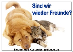 grusskarte-diverses-verzeihung-q_005