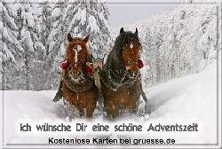 grusskarte-festtage-advent-winterfotos-q_005