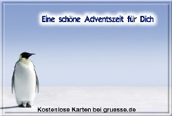 grusskarte-festtage-advent-winterfotos-q_016