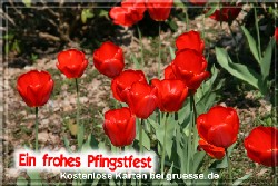 grusskarte-festtage-pfingsten-fotos-q_001
