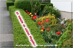 grusskarte-festtage-pfingsten-fotos-q_003
