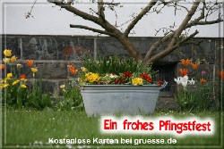 grusskarte-festtage-pfingsten-fotos-q_006