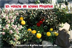 grusskarte-festtage-pfingsten-fotos-q_009