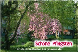 grusskarte-festtage-pfingsten-fotos-q_010