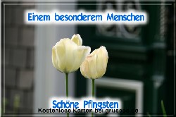 grusskarte-festtage-pfingsten-fotos-q_022