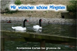 grusskarte-festtage-pfingsten-fotos-q_026