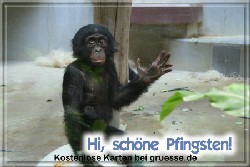 grusskarte-festtage-pfingsten-fotos-q_027