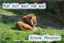 grusskarte-festtage-pfingsten-fotos-q_031