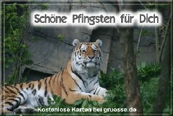 grusskarte-festtage-pfingsten-fotos-q_033