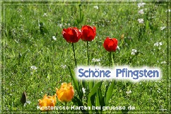 grusskarte-festtage-pfingsten-fotos-q_035