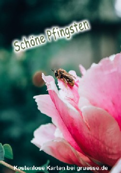 grusskarte-festtage-pfingsten-standard_004