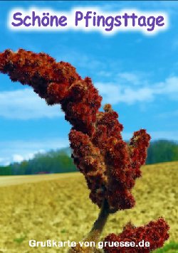 grusskarte-festtage-pfingsten-standard_007