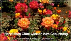 grusskarte-glueckwuensche-geburtstag-blumen-q_020