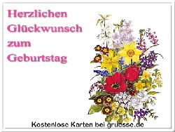 grusskarte-glueckwuensche-geburtstag-standard-q_008