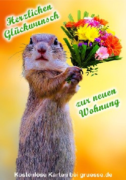 grusskarte-glueckwuensche-neue-wohnung_004