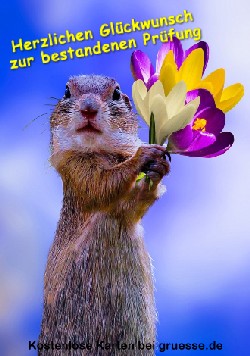 grusskarte-glueckwuensche-pruefung_003