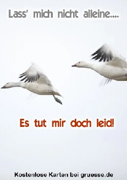 grusskarte-herzensgruesse-liebe_018