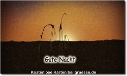 zeiten-gute-nacht_030