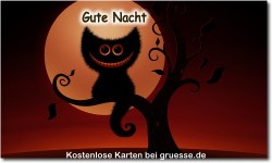zeiten-gute-nacht_043