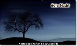 zeiten-gute-nacht_047