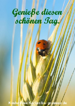 grusskarte-zeiten-guten-tag_003