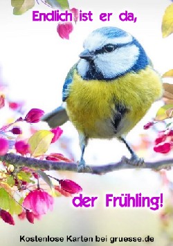 grusskarte-zeiten-jahreszeit-fruehling_006