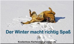 zeiten-jahreszeit-winter_022