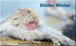 zeiten-jahreszeit-winter_024