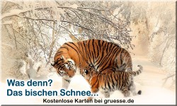 zeiten-jahreszeit-winter_029