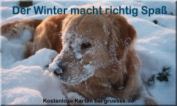 zeiten-jahreszeit-winter_030