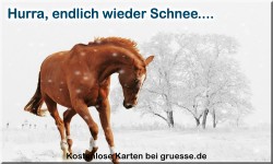 zeiten-jahreszeit-winter_033