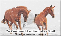 zeiten-jahreszeit-winter_035