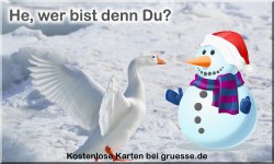 zeiten-jahreszeit-winter_040