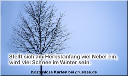 zeiten-jahreszeit-winter-zitate_003