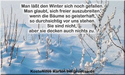 zeiten-jahreszeit-winter-zitate_005