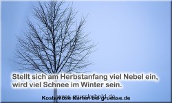 zeiten-jahreszeit-winter-zitate_007