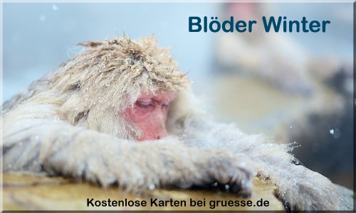 zeiten-jahreszeit-winter_024