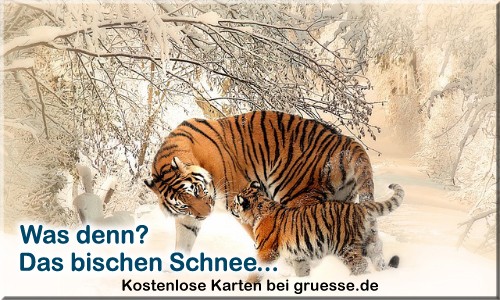 zeiten-jahreszeit-winter_029