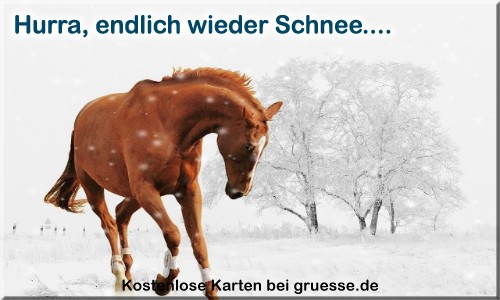 zeiten-jahreszeit-winter_033