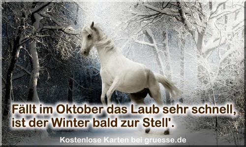 zeiten-jahreszeit-winter-zitate_002
