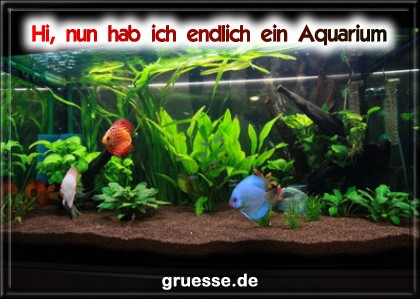 grusskarte-diverses-aquarianer-q_008
