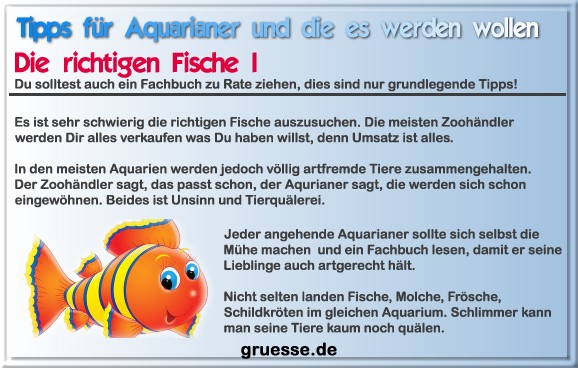 grusskarte-diverses-aquarianer-q_011