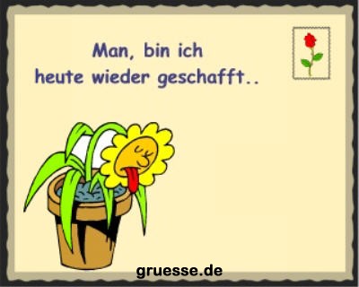 grusskarte-spass-q-gemischt_002